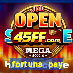 fortuna pay consultoria financeira ltda